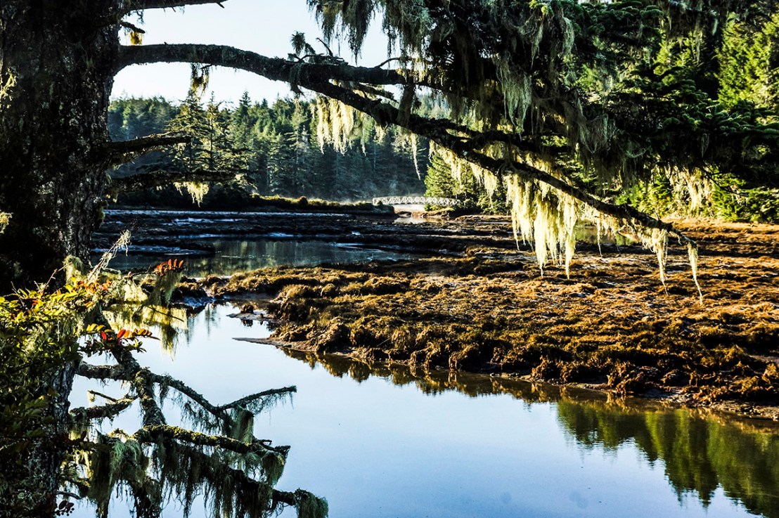 South Slough Trails–Saturday, August&nbsp;8