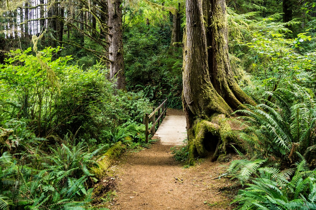 Eel Lake Hike–Saturday, July&nbsp;11